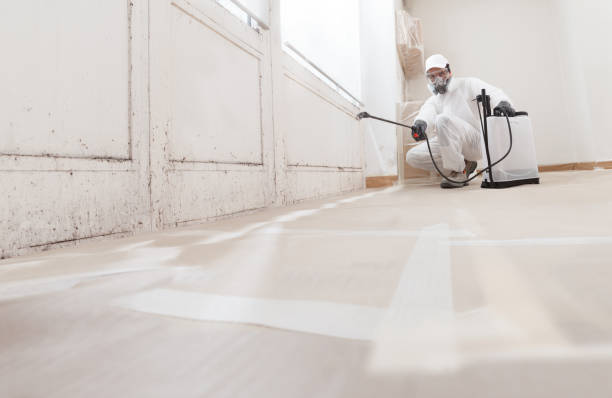 24/7 Emergency Mold Remediation experts in Middleville, MI